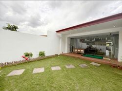 Bartley Rise Estate (D19), Terrace #594209641